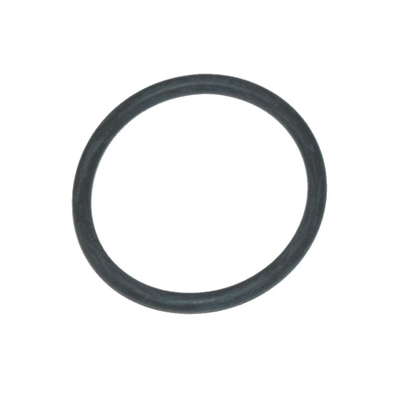 O-ring per inserto filtro ARAG 36,69 x 3,53 AF-G10052