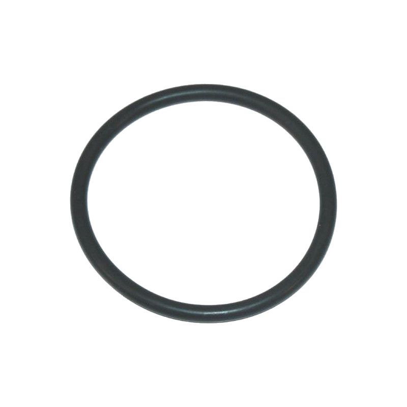 O-ring per corpo filtro ARAG 47,22 x 3,53 AF-G10062