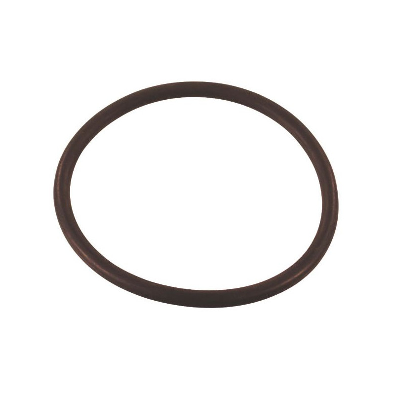 O-ring ARAG per scatola filtro 74,63 x 5,34 mm. AF-G10090