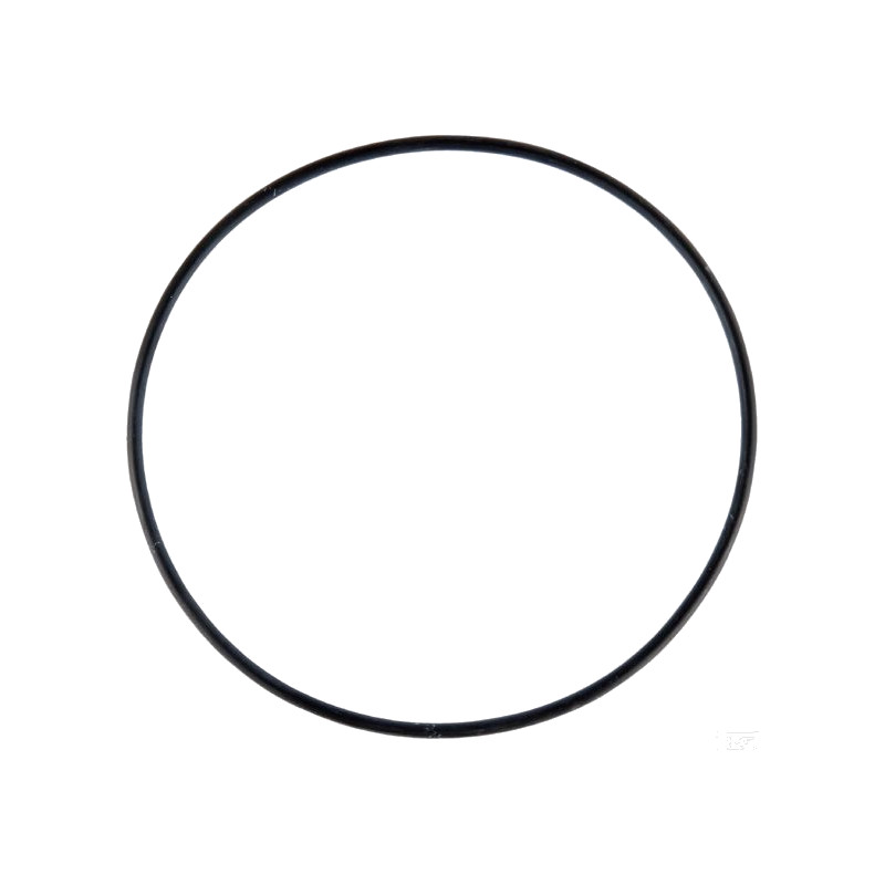 O-ring per inserto filtro ARAG 94,92 x 2,62 mm. AF-G11046