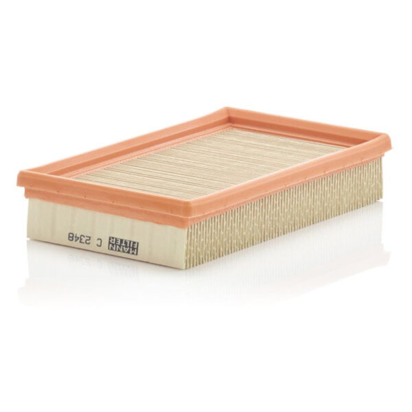 Filtro aria MANN AF-C2348