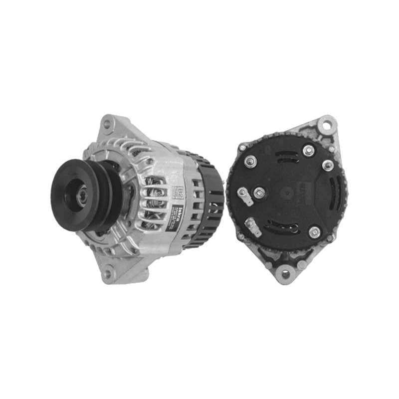 Alternatore Mahle Letrika AF-3655838M91