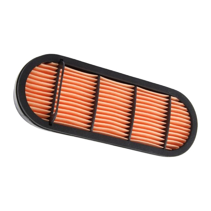 Filtro aria interno AF-3695442M92