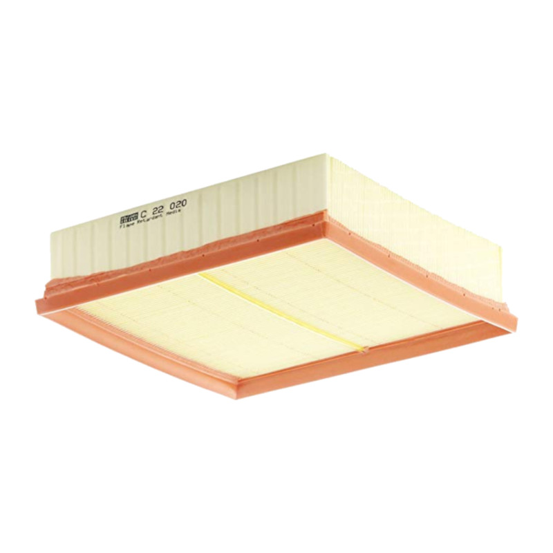 Filtro Aria Motore MANN AF-C22020