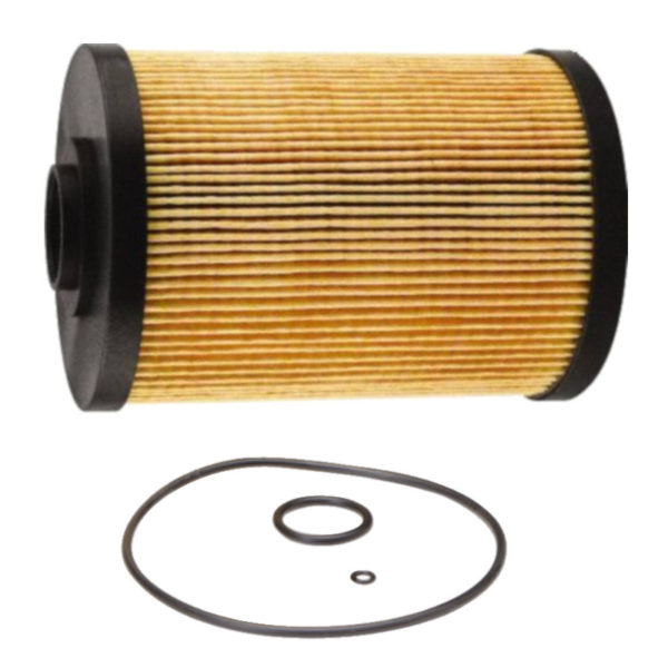 Ff5795 Filtro carburante FLEETGUARD AF-FF5795 : AGRO-FORESTALE