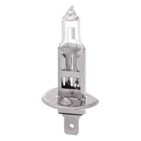 Lampada alogena H1 AF-12V55WH1