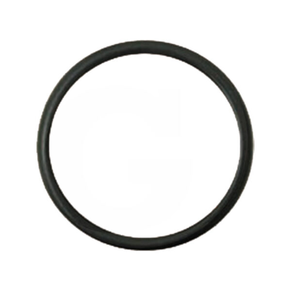 O-ring pompa acqua - testata cilindro AF-F716201610010