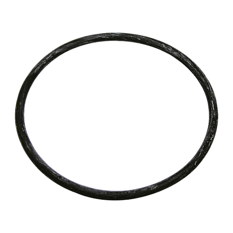Guarnizione ARAG AF-G10061