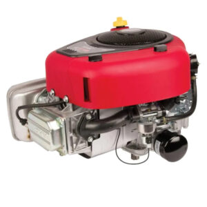 Motore 4175 Serie 4 Briggs & Stratton AF-31R7770010B5CC0001