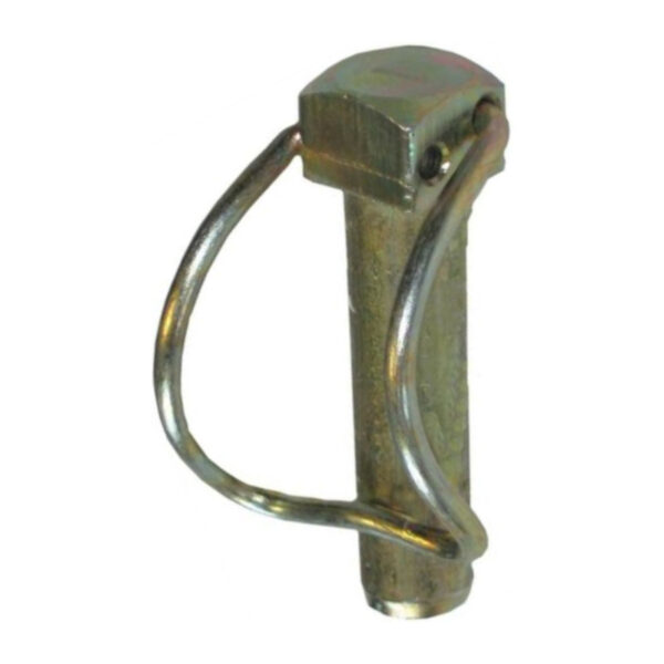 Coppiglia a scatto AF-5103862