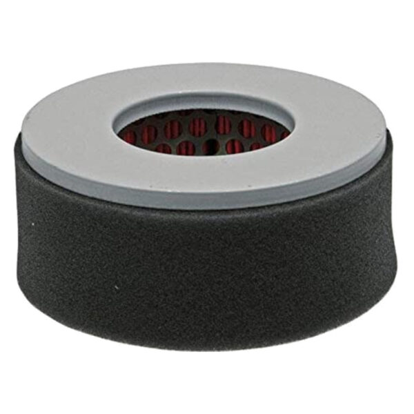 Filtro aria AF-114250-12580