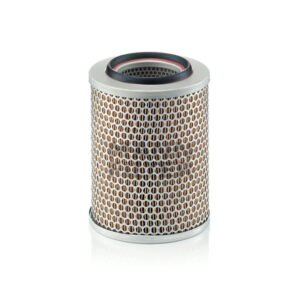 Filtro aria esterno MANN AF-C17160
