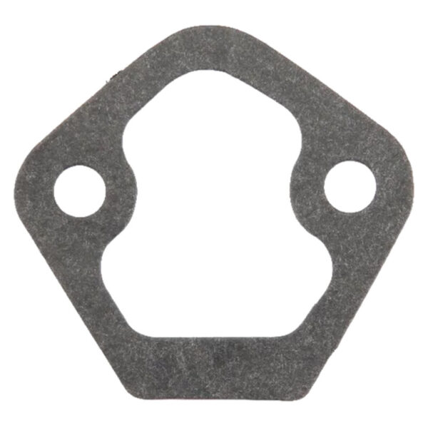 Guarnizione pompa carburante AF-R520618