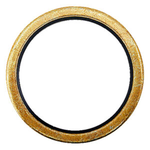 Anello di tenuta U-seal AF-431369