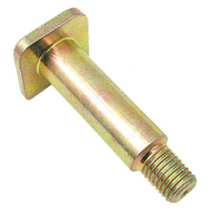 Perno M 20 x 2,5 (mm.) AF-6061705