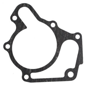 Guarnizione pompa acqua Yanmar AF-119266-42020