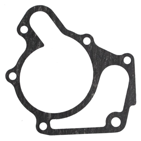 Guarnizione pompa acqua Yanmar AF-119266-42020