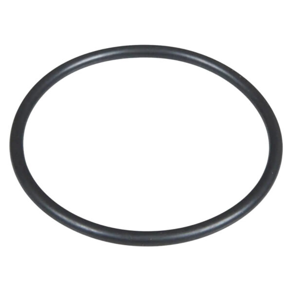 O-ring pompa dell'acqua - termostato AF-F824200050090