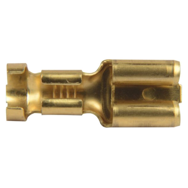 Spine piatte femmina 100 pezzi AF-50251223
