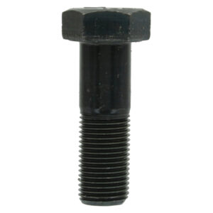 Vite M16 x 1,5 x 55 mm. AF-000000058