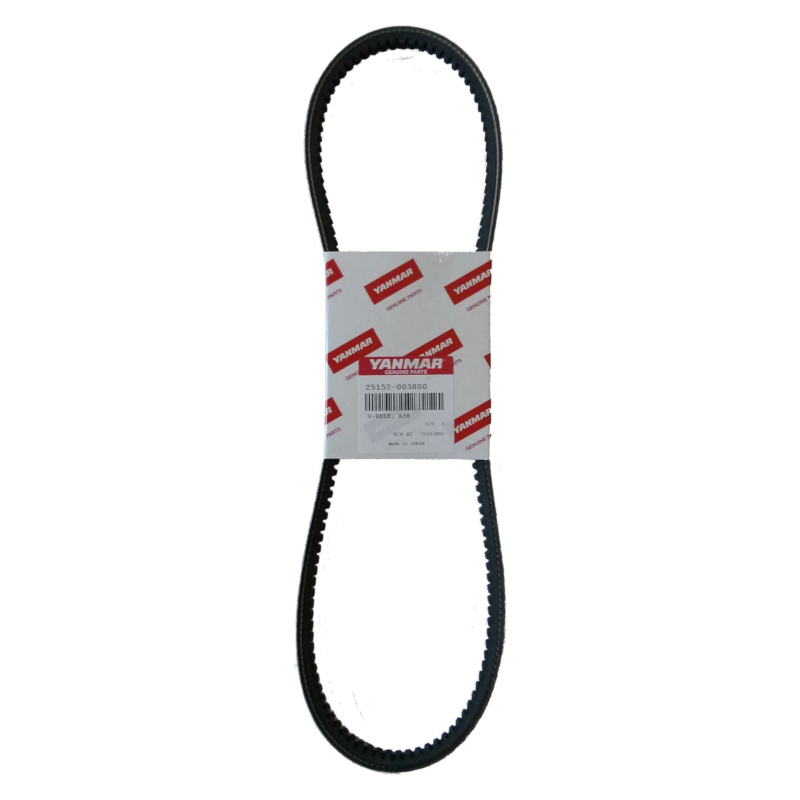 Cinghia trapezoidale A38 Yanmar AF-25152-003800