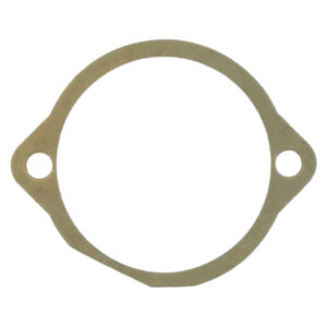 Guarnizione Maschio AF-M10100126R